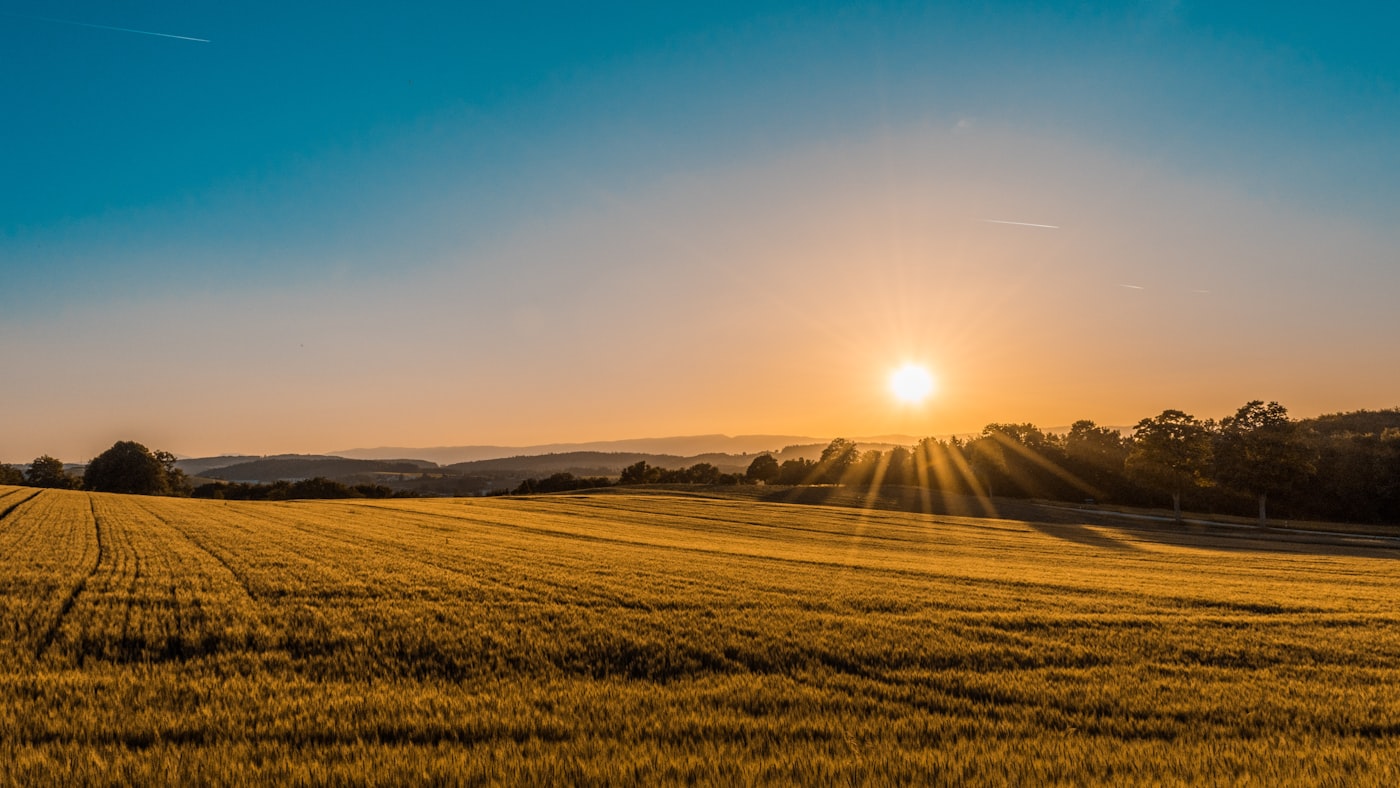 Open land at sunrise